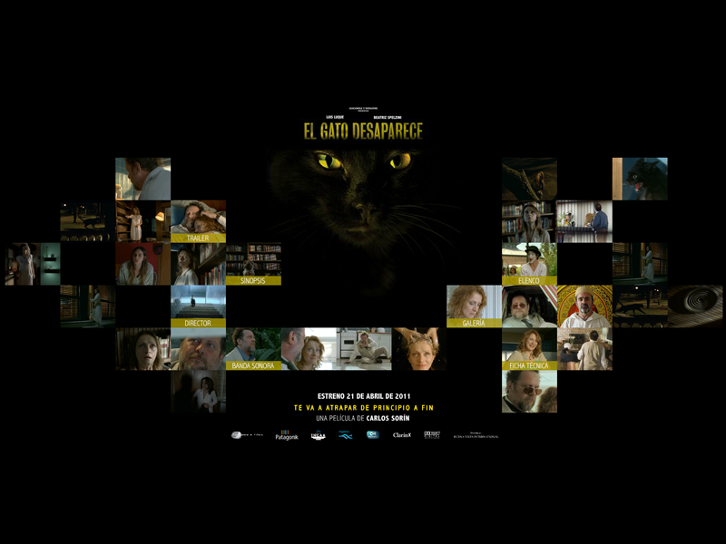 El gato desaparece