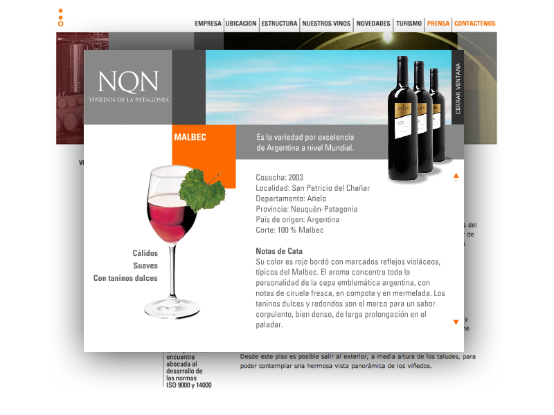 Viñedos de la patagonia